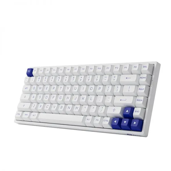 Akko Blue On White 3084B Plus Hot-Swappable Multi-Mode RGB Mechanical Keyboard (Akko CS Jelly Pink)