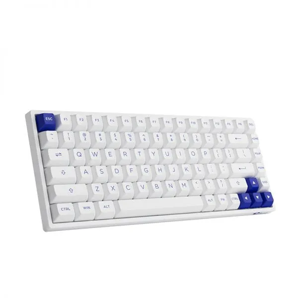 Akko Blue On White 3084B Plus Hot-Swappable Multi-Mode RGB Mechanical Keyboard (Akko CS Jelly Pink)