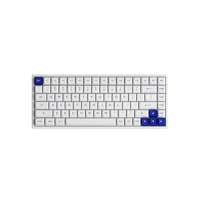 Akko Blue On White 3084B Plus Hot-Swappable Multi-Mode RGB Mechanical Keyboard (Akko CS Jelly Pink)