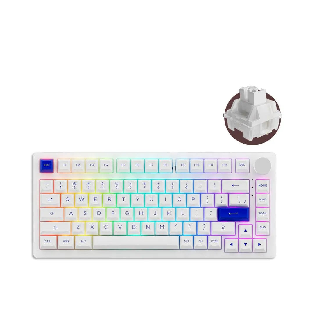 AKKO PC75B Plus Blue On White RGB Mechanical Keyboard (Akko CS Jelly White-Lubed)