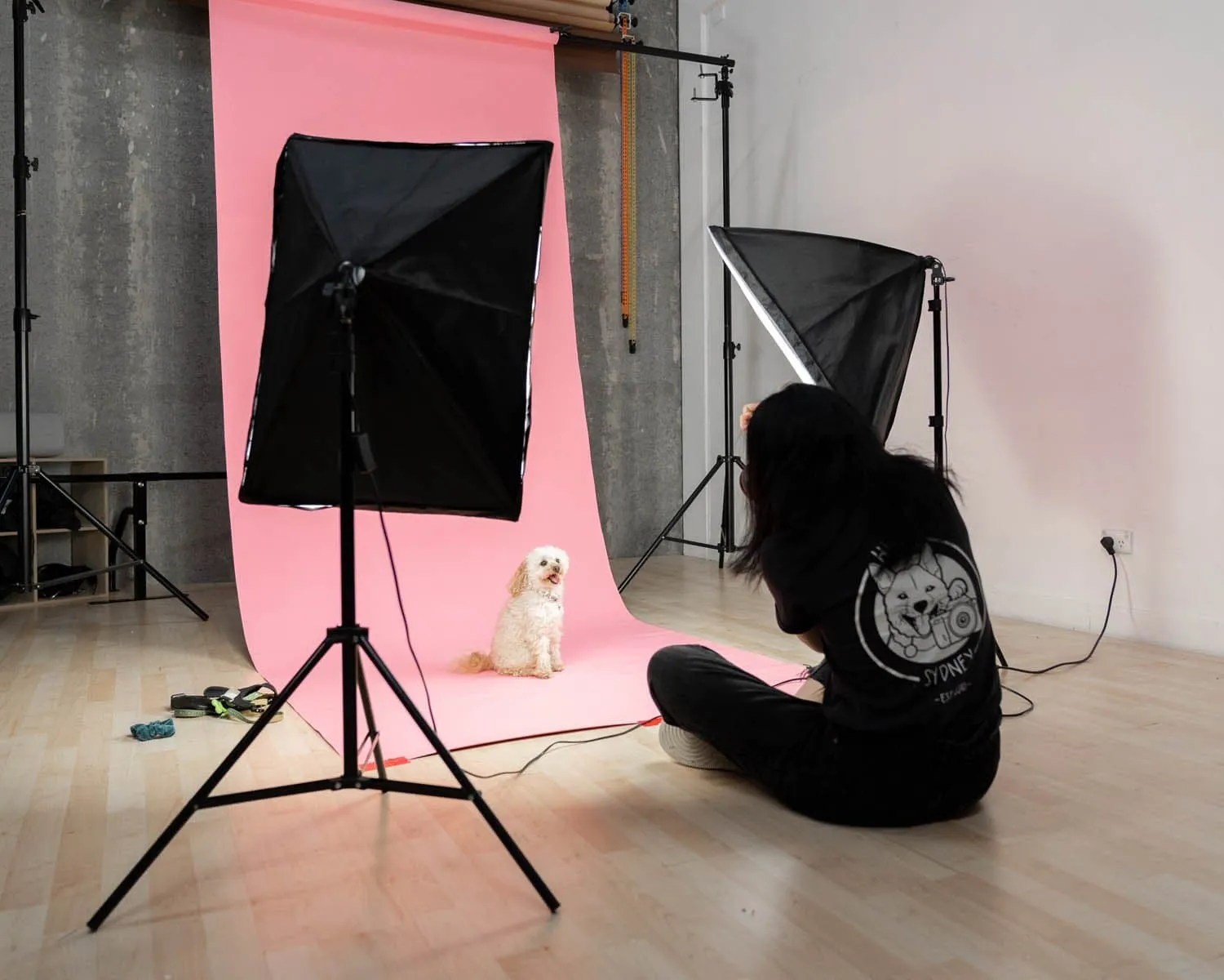 'Illuminate Mate' Double Rectangle Softbox Lighting Kit